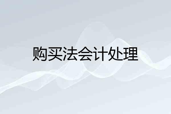购买法会计处理