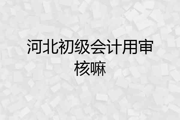 河北初级会计用审核嘛