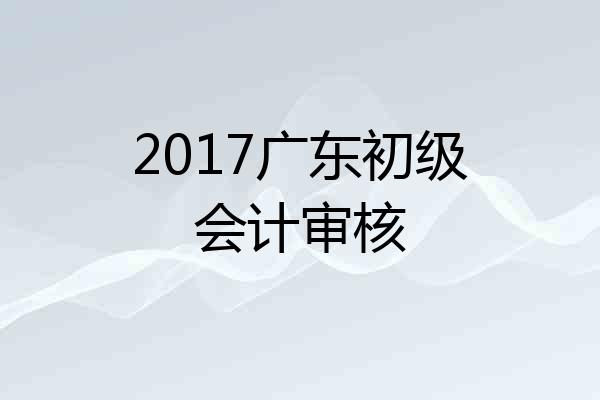 2017广东初级会计审核
