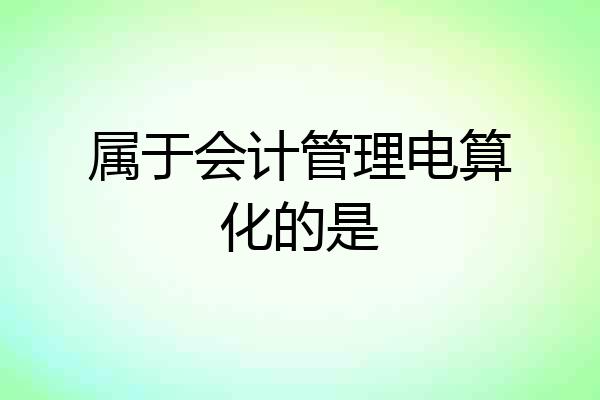 属于会计管理电算化的是