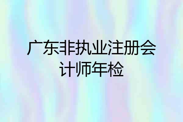 广东非执业注册会计师年检