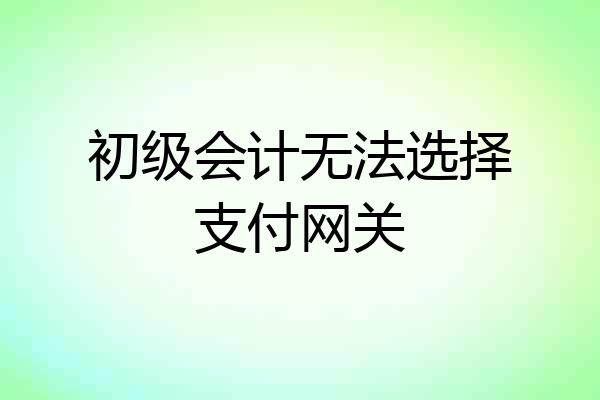 初级会计无法选择支付网关