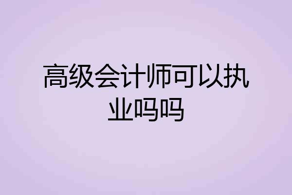 高级会计师可以执业吗吗