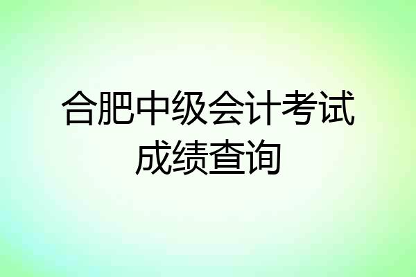 合肥中级会计考试成绩查询