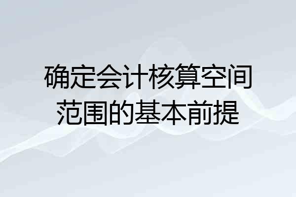 确定会计核算空间范围的基本前提