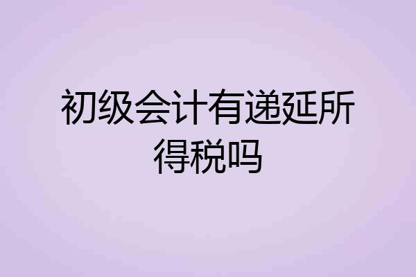 初级会计有递延所得税吗