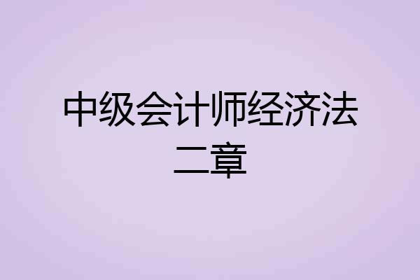 中级会计师经济法二章