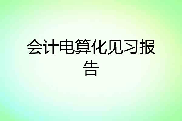 会计电算化见习报告