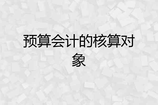 预算会计的核算对象