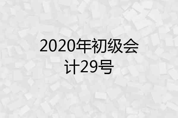 2020年初级会计29号