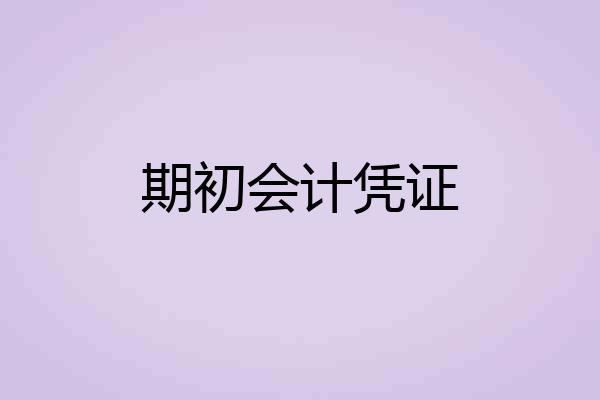期初会计凭证