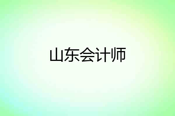 山东会计师