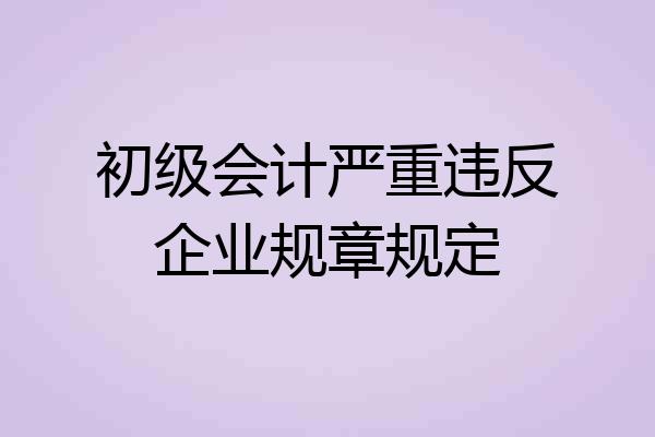 初级会计严重违反企业规章规定