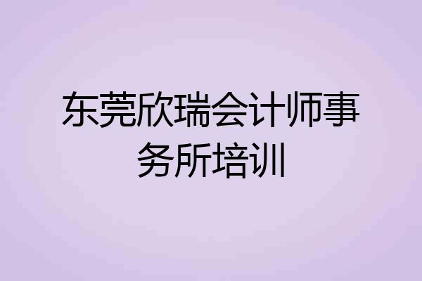 东莞欣瑞会计师事务所培训