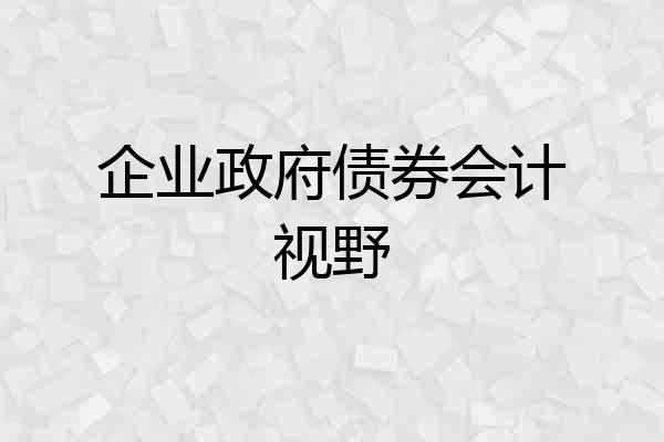 企业政府债券会计视野