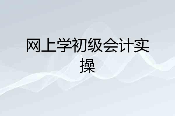 网上学初级会计实操