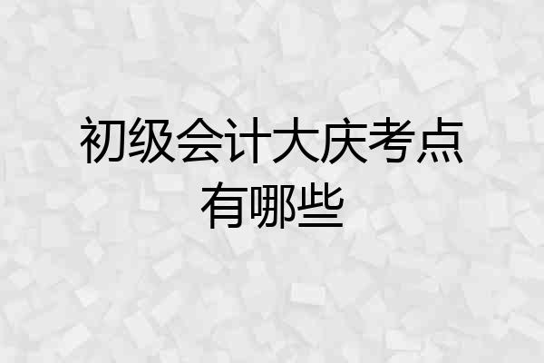 初级会计大庆考点有哪些