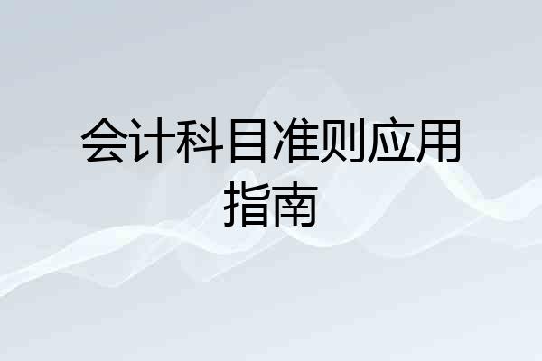 会计科目准则应用指南