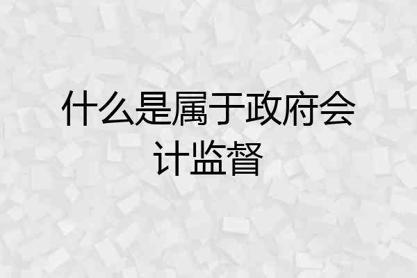 什么是属于政府会计监督