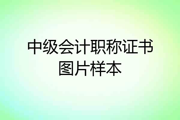 中级会计职称证书图片样本