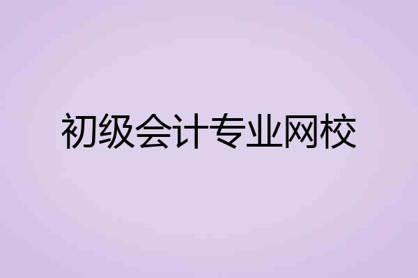 初级会计专业网校