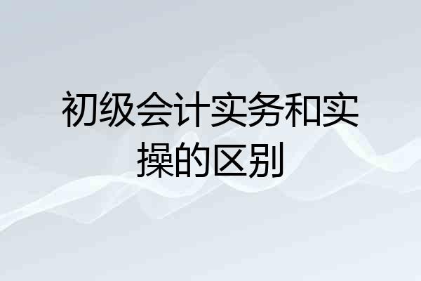 初级会计实务和实操的区别