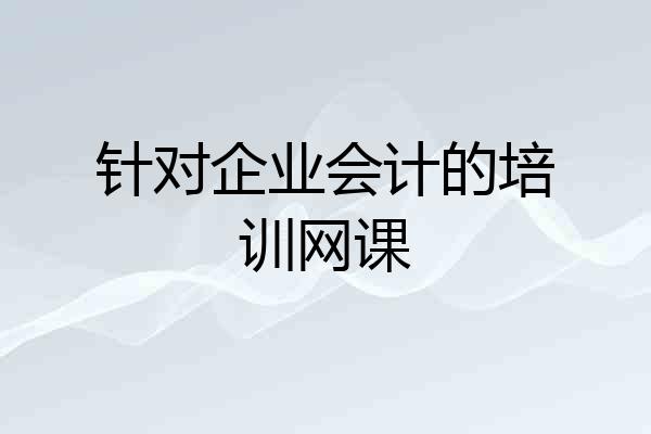针对企业会计的培训网课