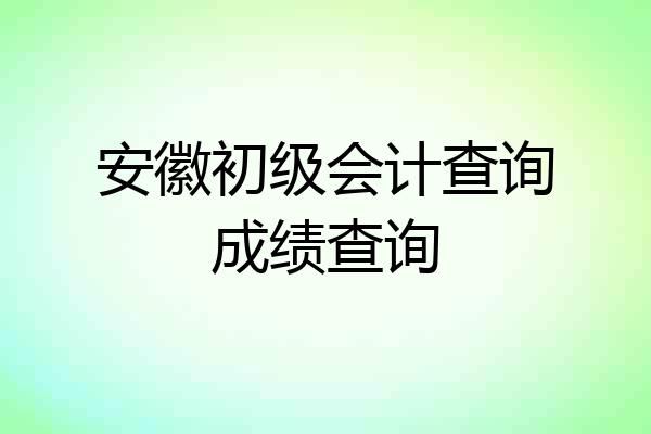 安徽初级会计查询成绩查询