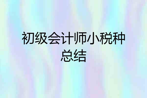初级会计师小税种总结