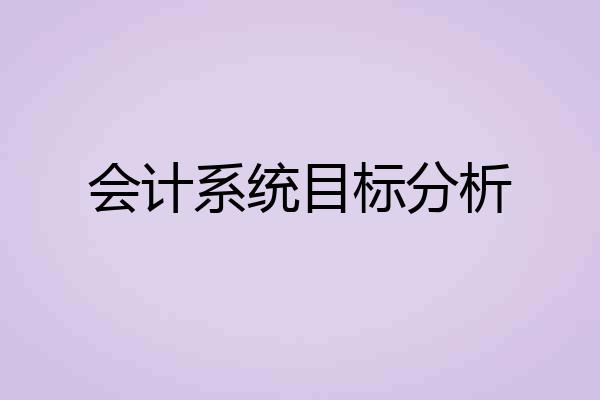 会计系统目标分析
