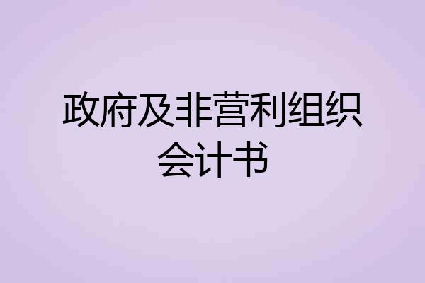 政府及非营利组织会计书