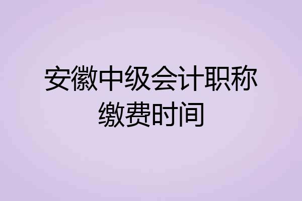 安徽中级会计职称缴费时间