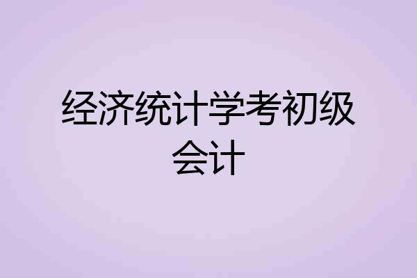 经济统计学考初级会计