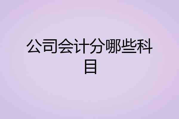 公司会计分哪些科目