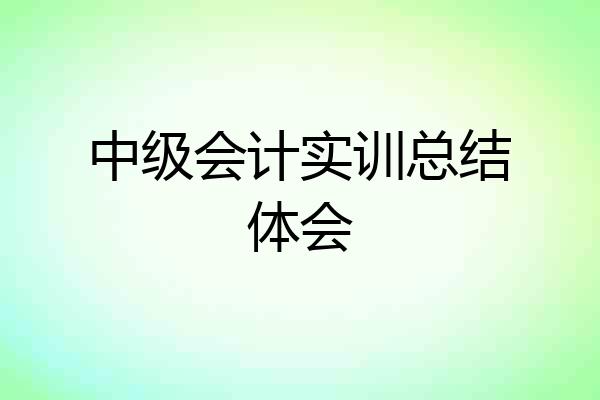 中级会计实训总结体会