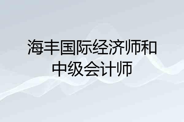 海丰国际经济师和中级会计师