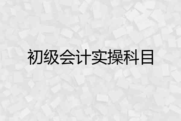 初级会计实操科目
