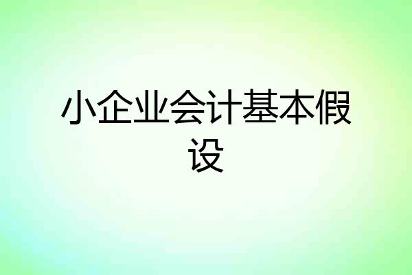 小企业会计基本假设