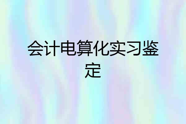 会计电算化实习鉴定