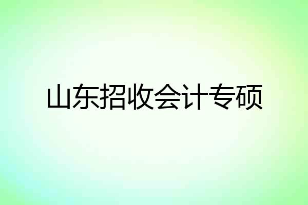 山东招收会计专硕