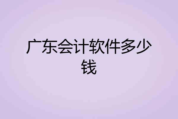 广东会计软件多少钱