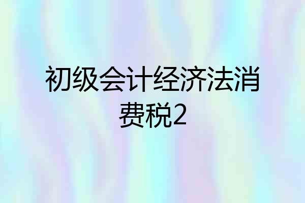 初级会计经济法消费税2