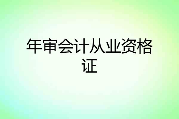 年审会计从业资格证