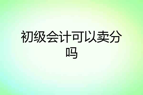 初级会计可以卖分吗