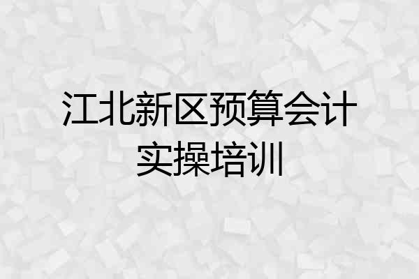 江北新区预算会计实操培训