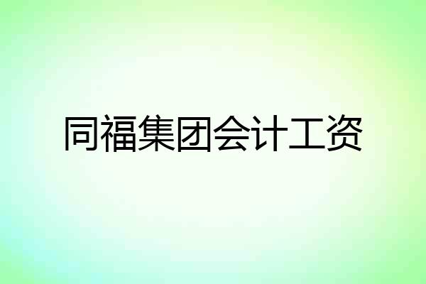 同福集团会计工资