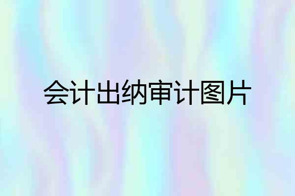 会计出纳审计图片