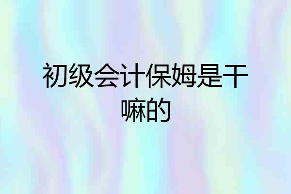 初级会计保姆是干嘛的