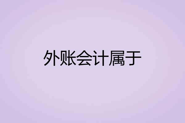 外账会计属于