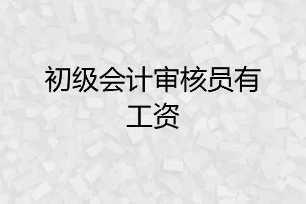 初级会计审核员有工资